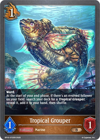 Tropical Grouper [BP10]