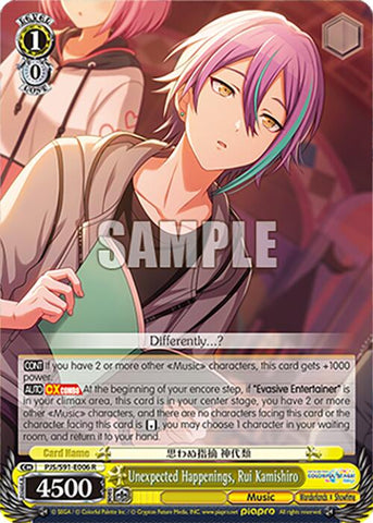 Unexpected Happenings, Rui Kamishiro