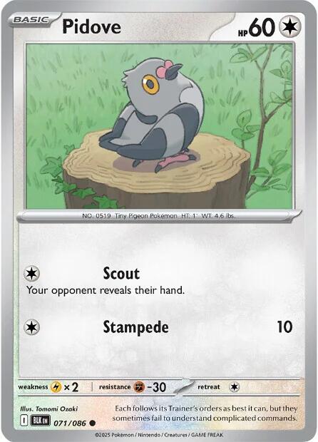 Pidove [073/086]