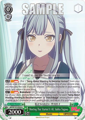 Meeting That Started It All, Sakiko Togawa